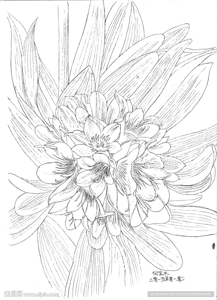 花卉