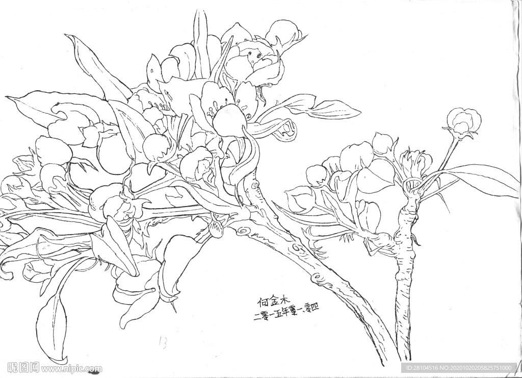 將花卉