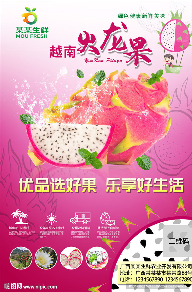 火龍果宣傳單