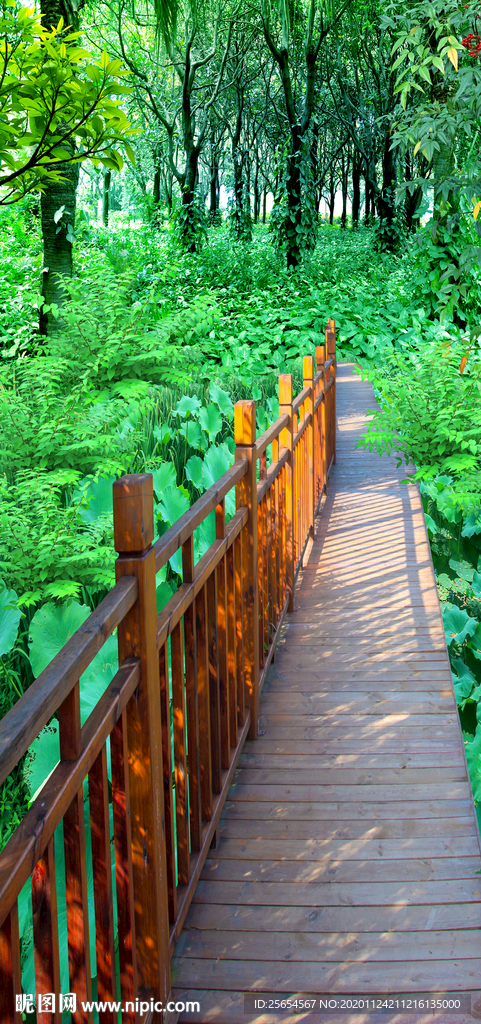 森林树林阶梯玄关风景画背景墙