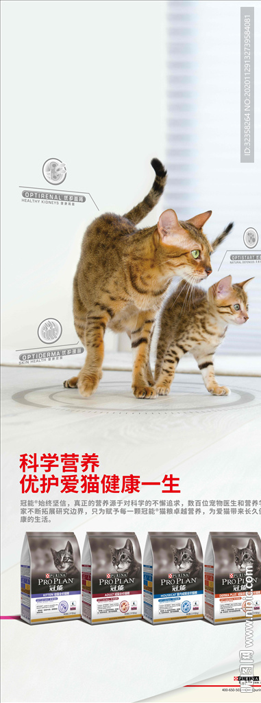 猫粮海报