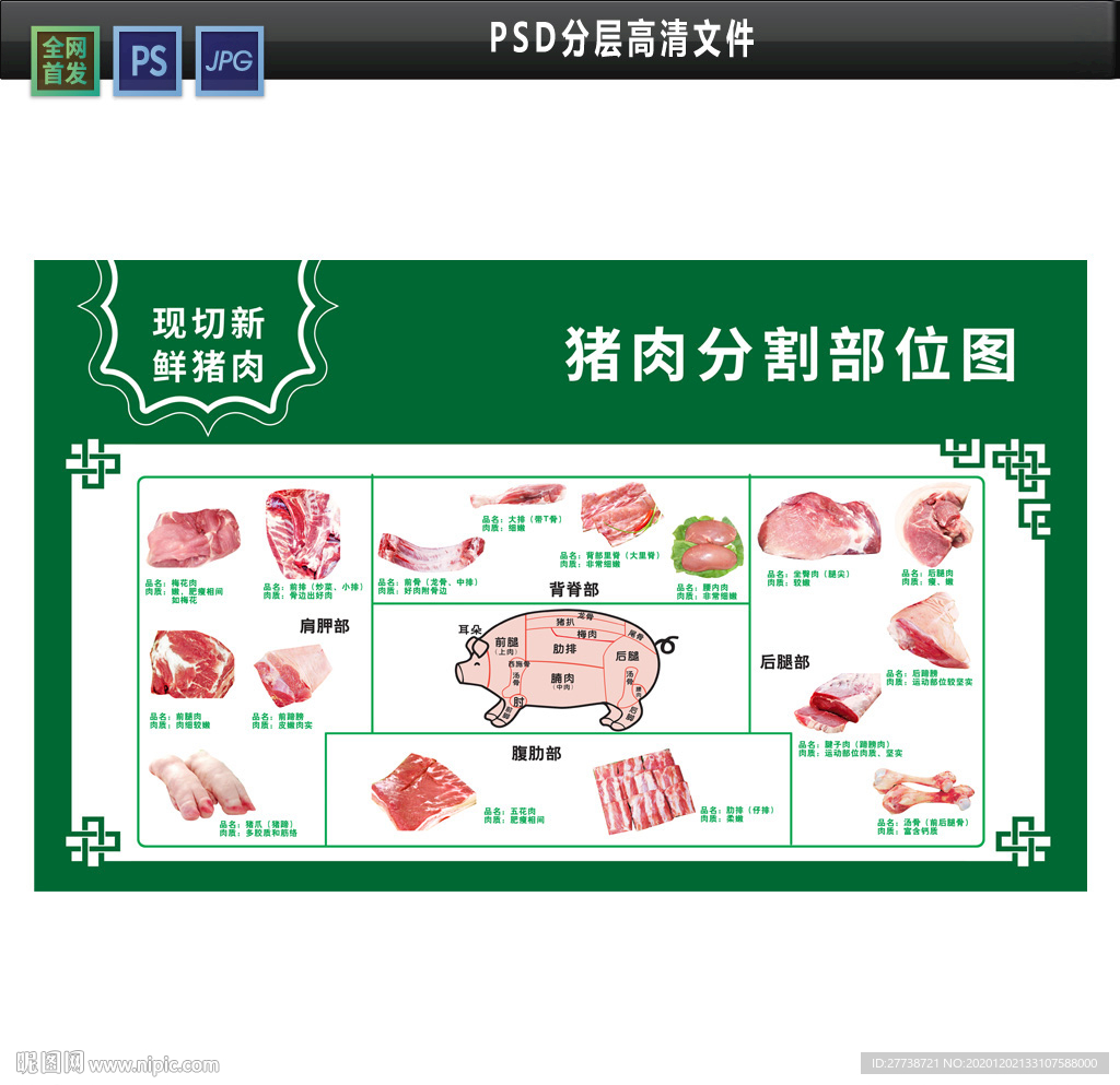 猪肉分解图PSD分层文件