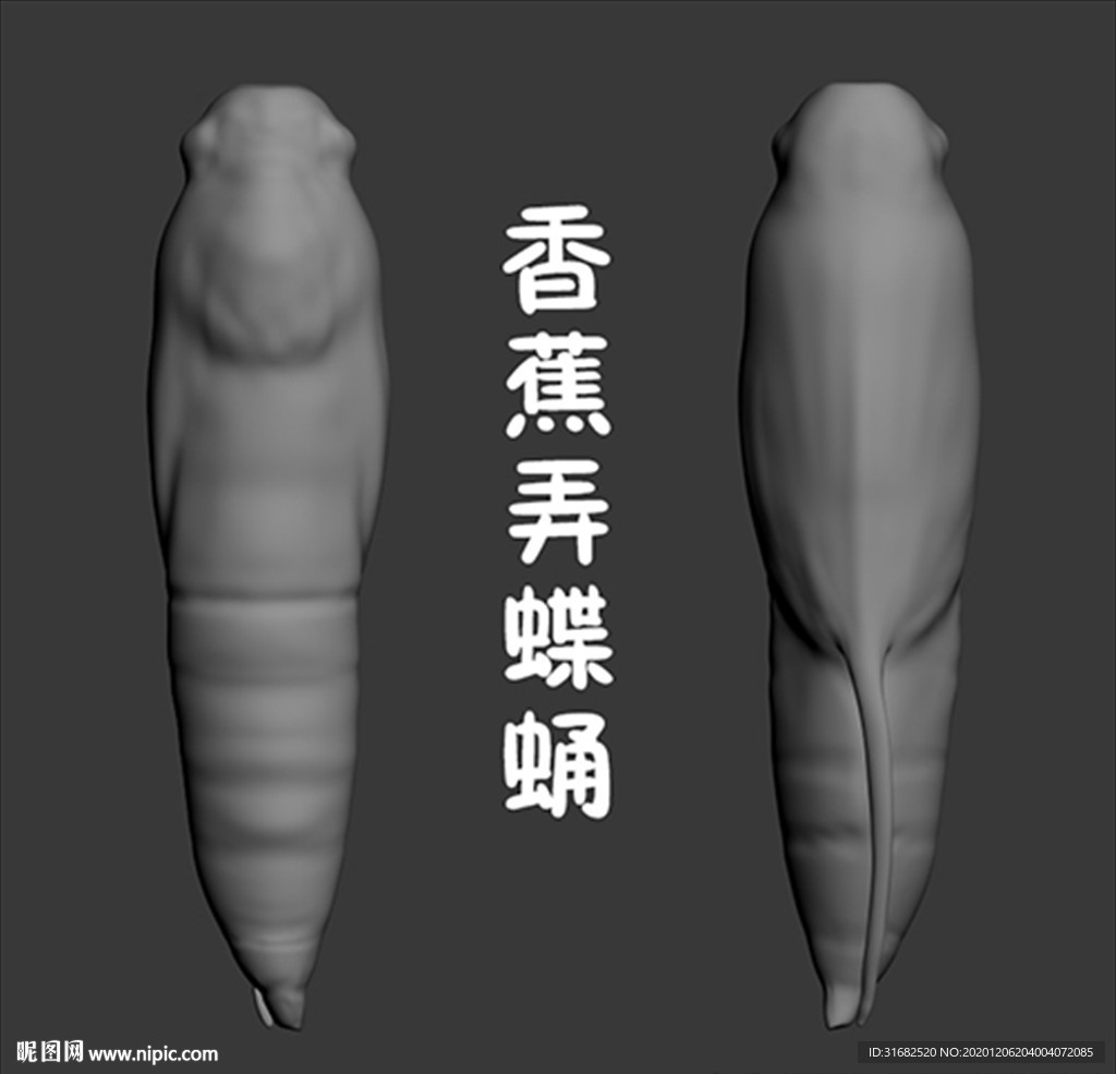 香蕉弄蝶蛹3D模型