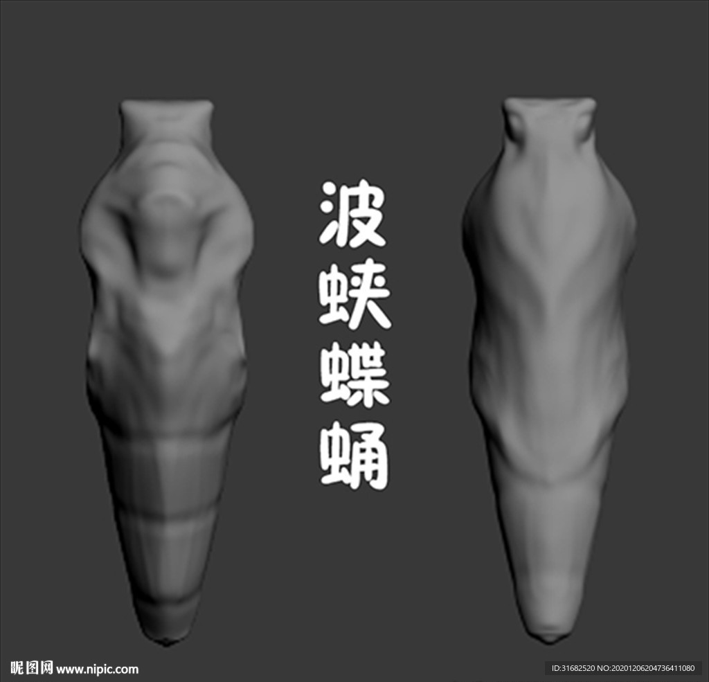 波蛺蝶蛹3D模型