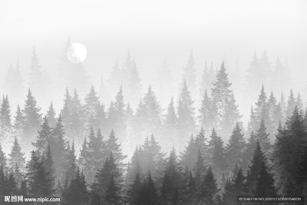 迷雾松林迷雾森林