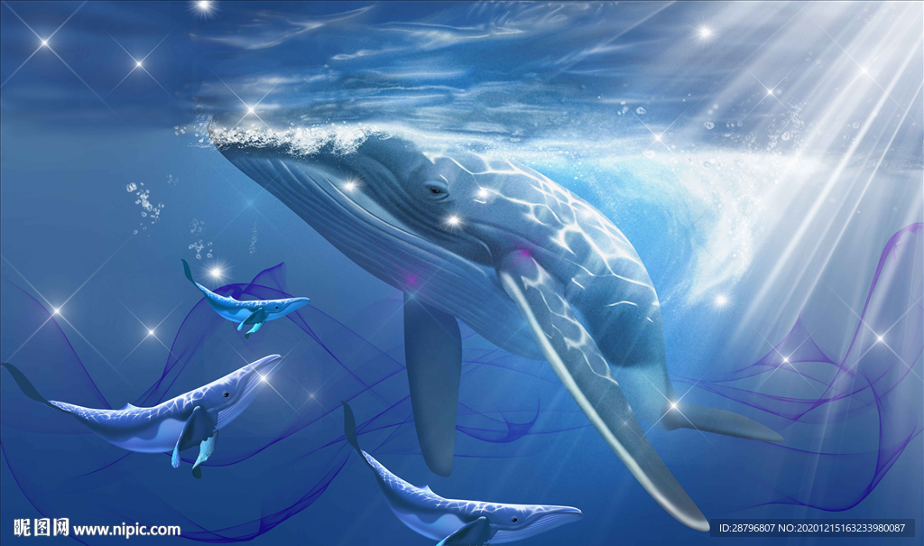梦幻鲸鱼 梦幻海豚 炫酷鲸鱼