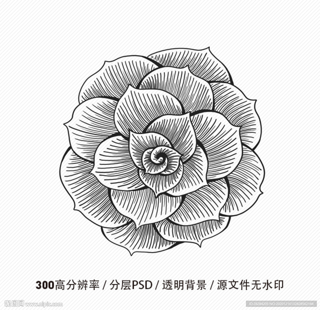 手繪花朵