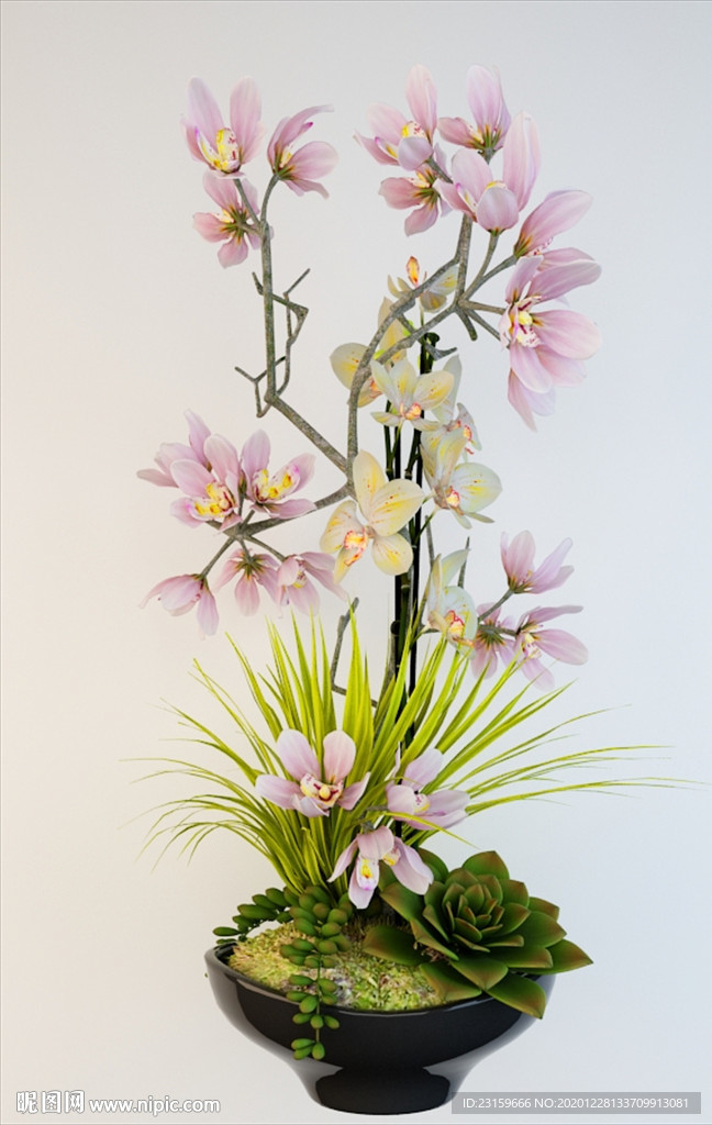 兰花植物盆栽模型
