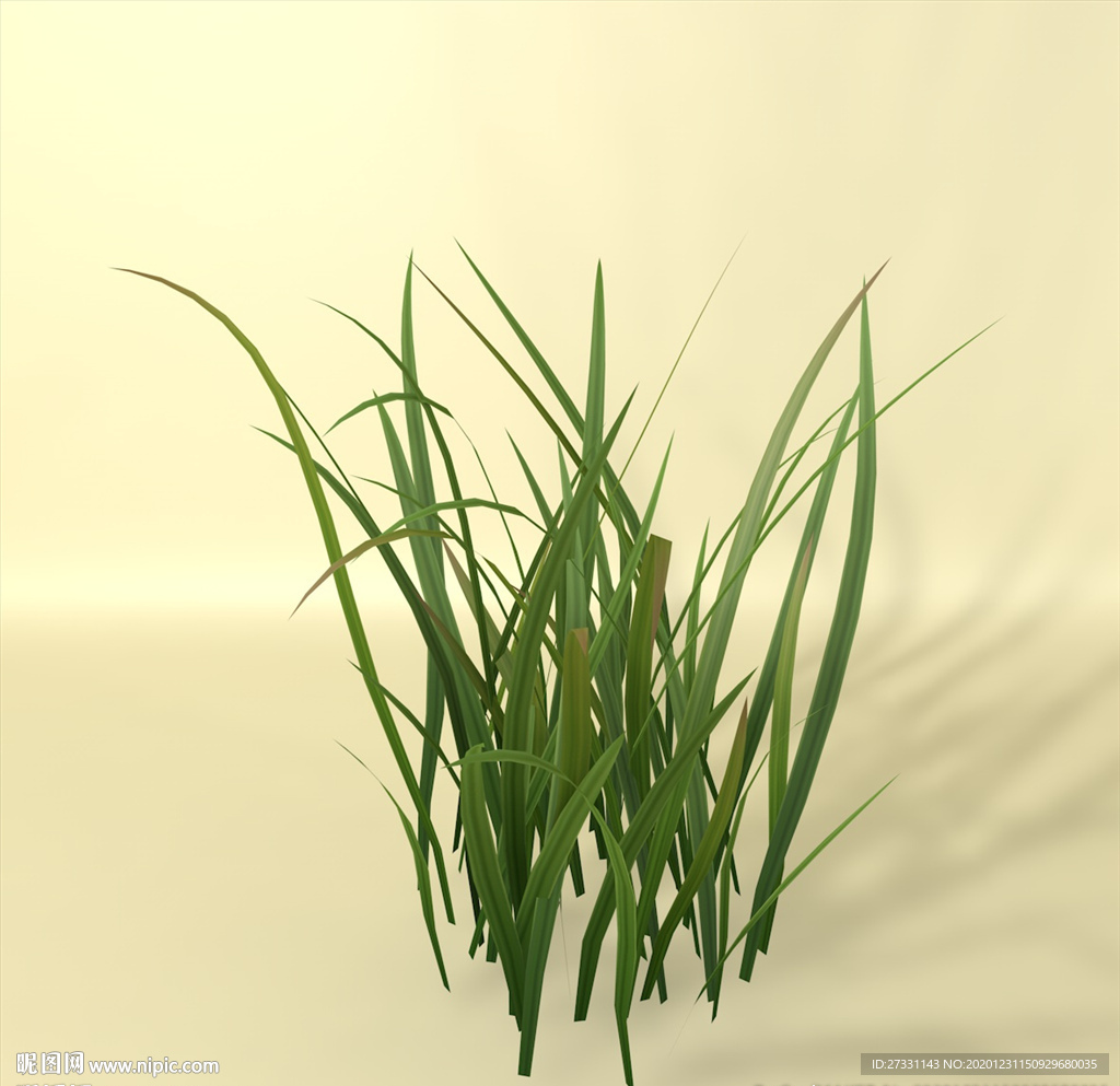 花草模型 植物模型 花卉模型