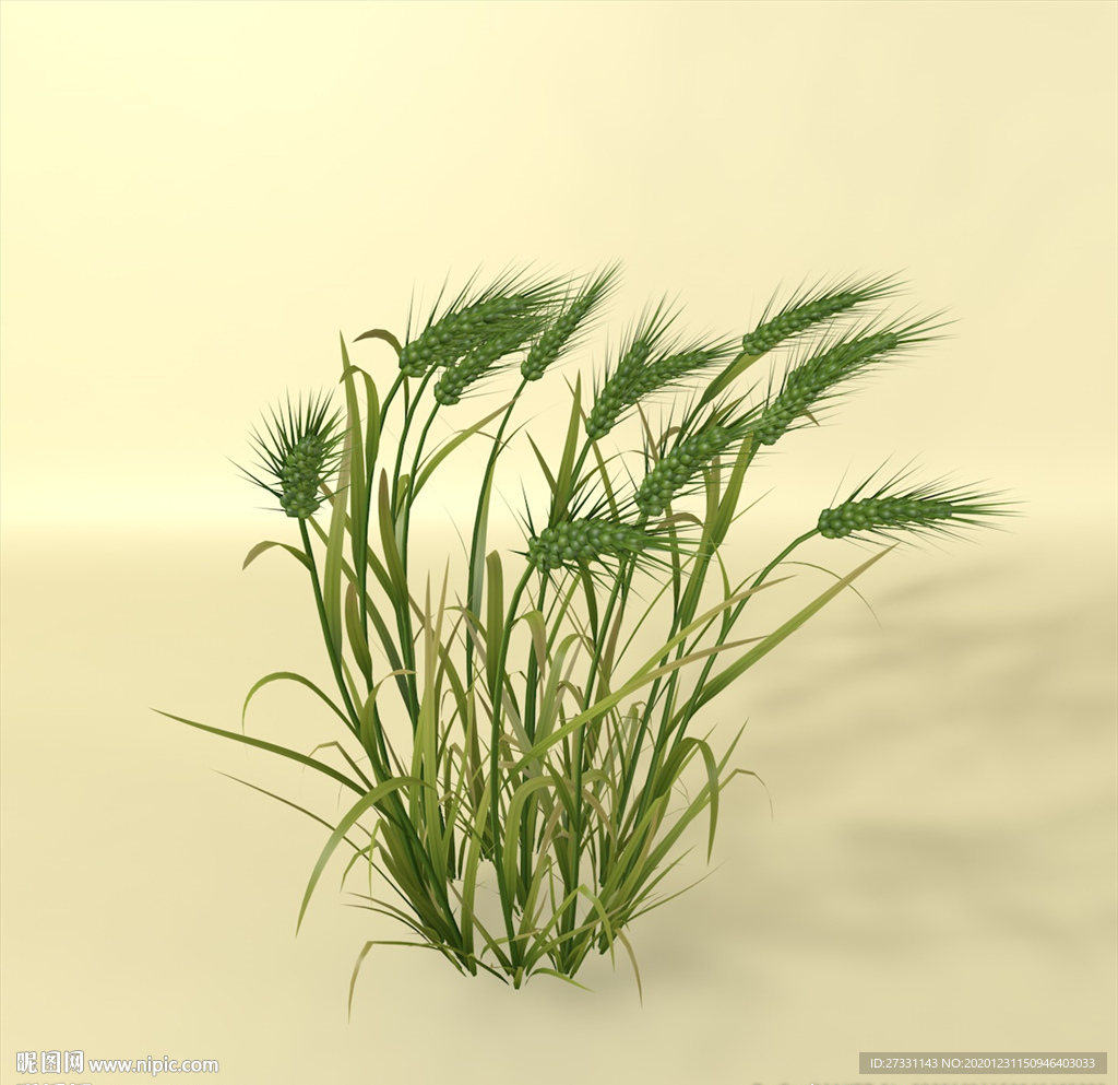 花草模型 植物模型 花卉模型