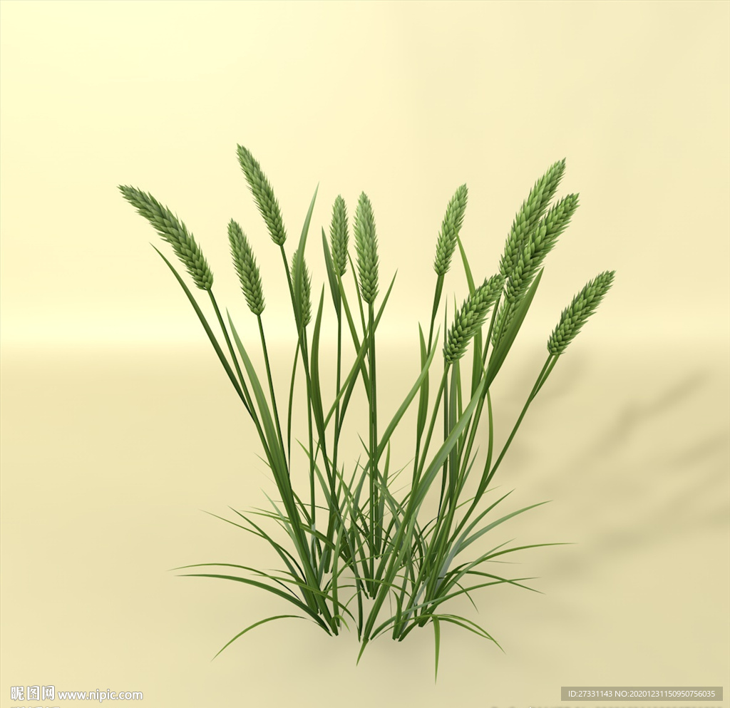 花草模型 植物模型 花卉模型