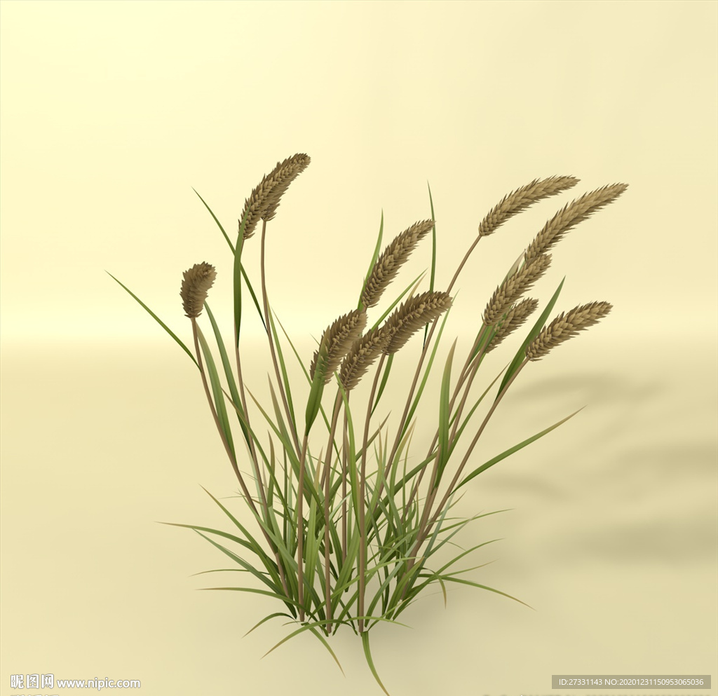花草模型 植物模型 花卉模型
