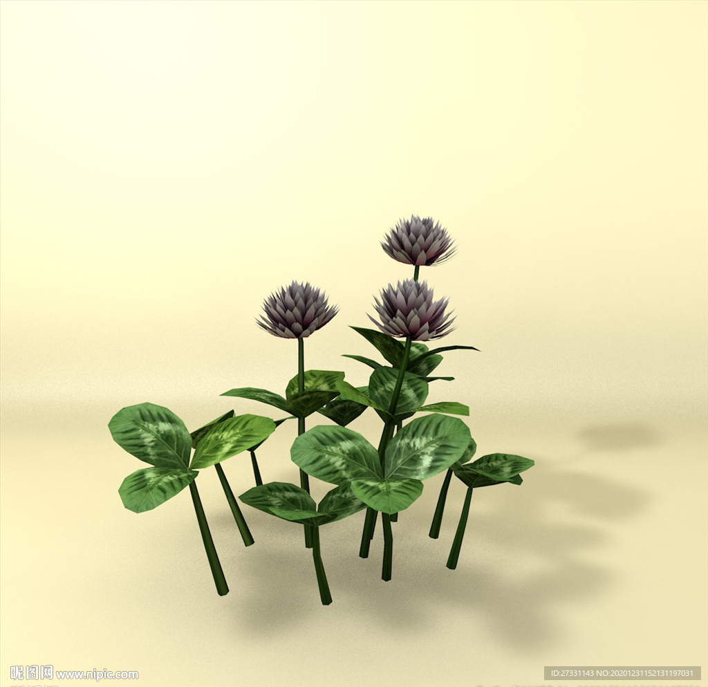 花草模型 植物模型 花卉模型