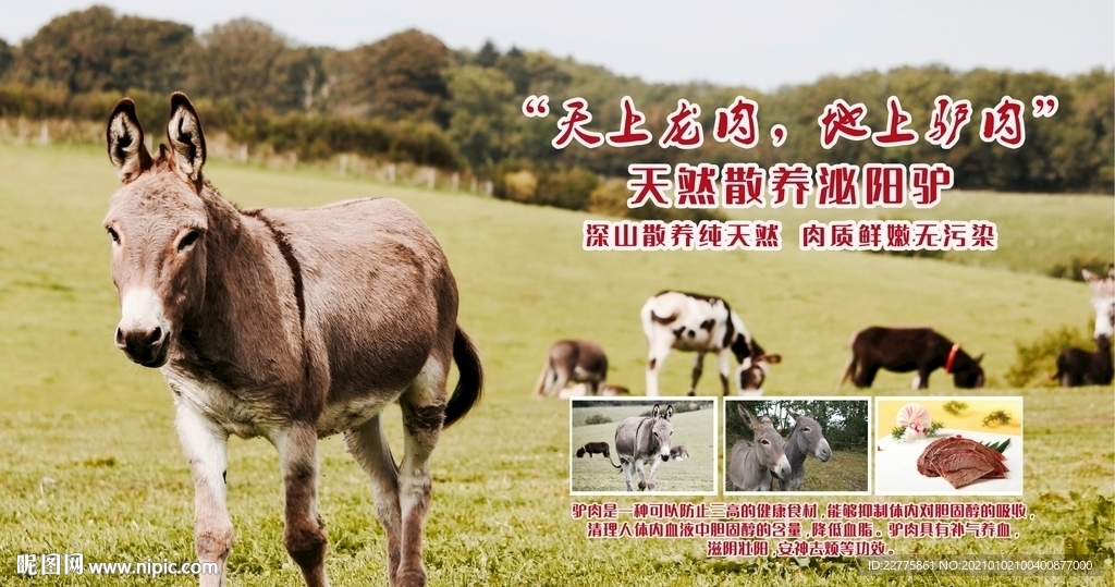 驴肉背景宣传海报招牌广告设计