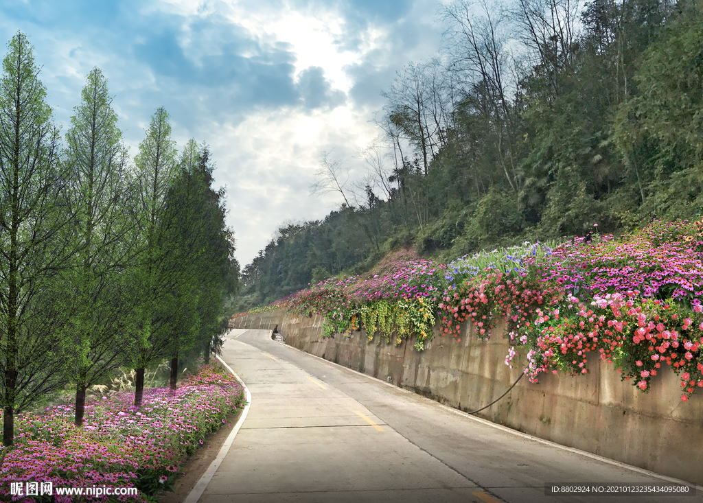 乡村道路绿化景观设计