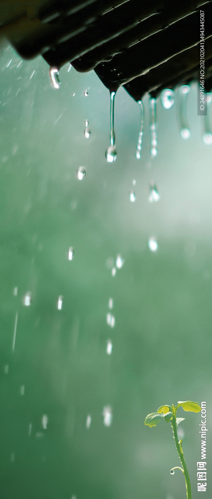 雨水节气稿 地产海报