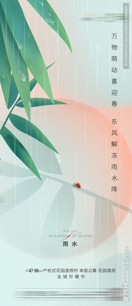 雨水