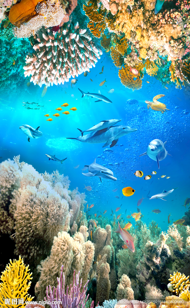 海底世界海豚海草3D立体地板