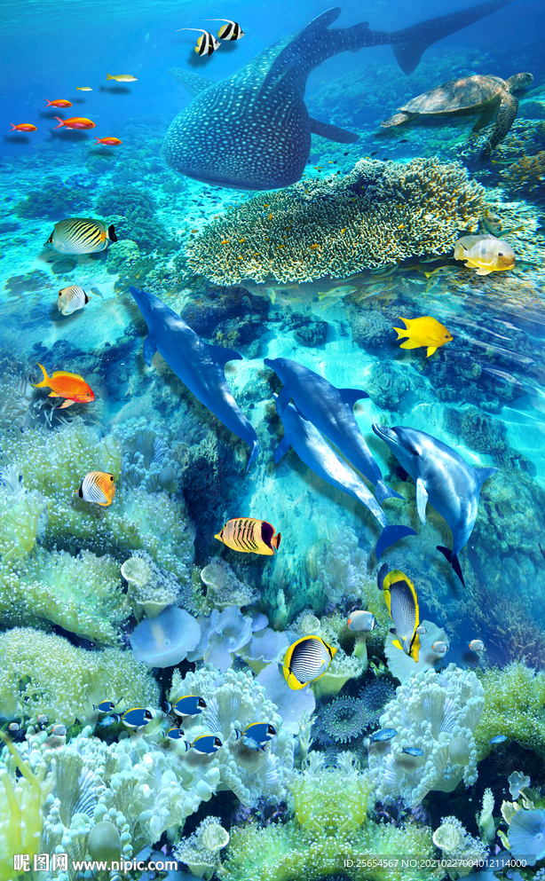 海洋世界海豚珊瑚3D地画