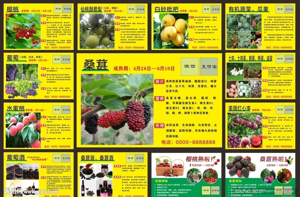 農(nóng)莊采摘水果簡介