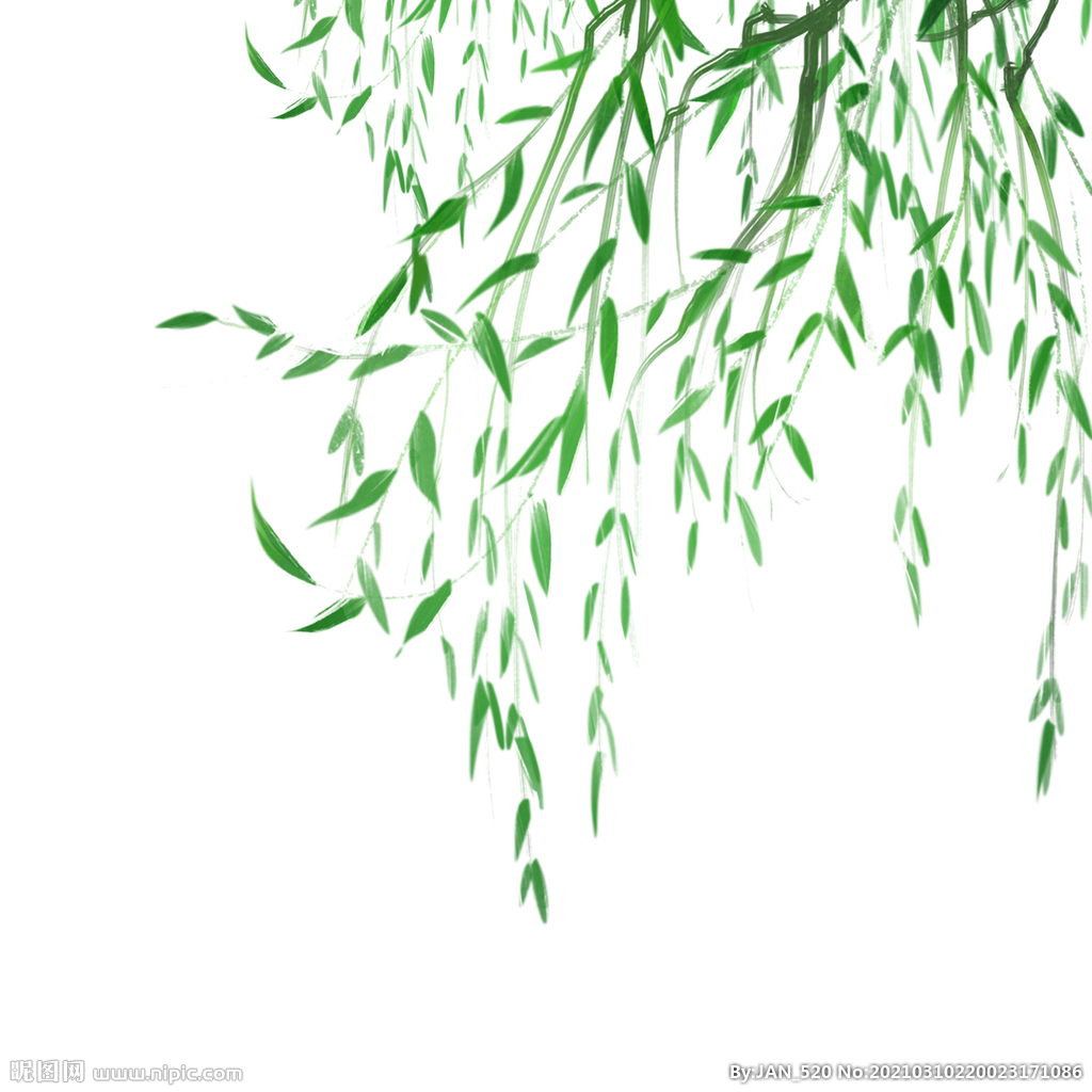 绿色装饰植物树叶元素