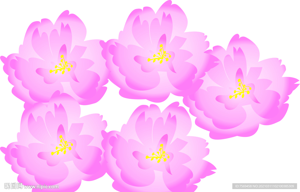 櫻花