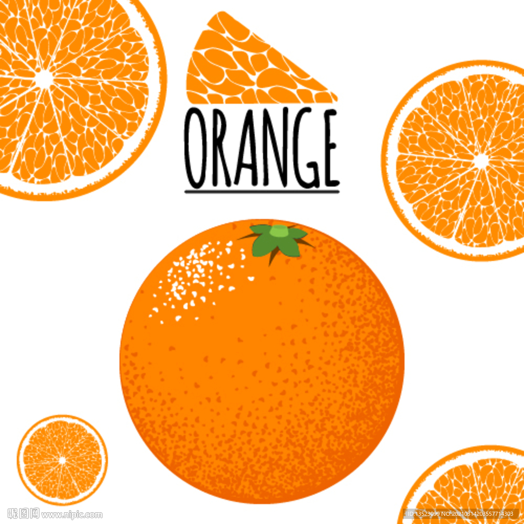 橙子手绘 脐橙插画