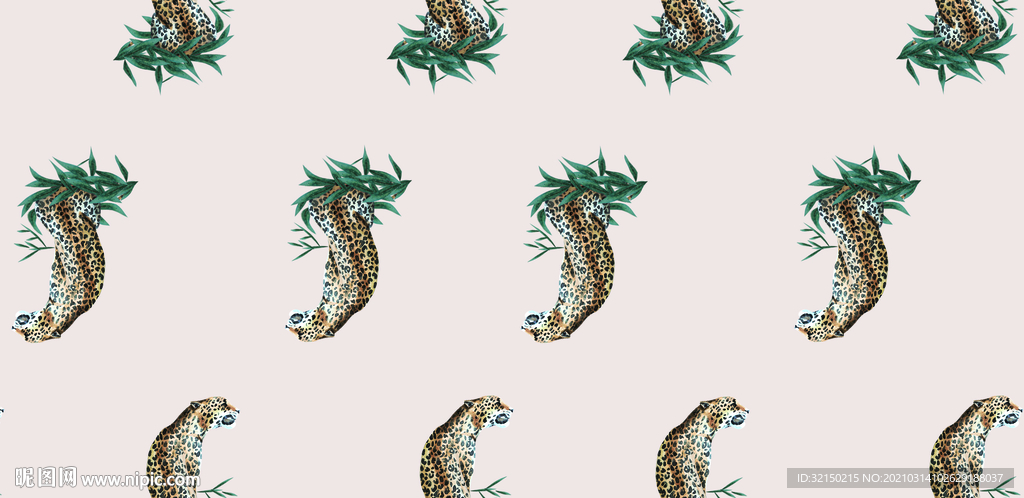 豹