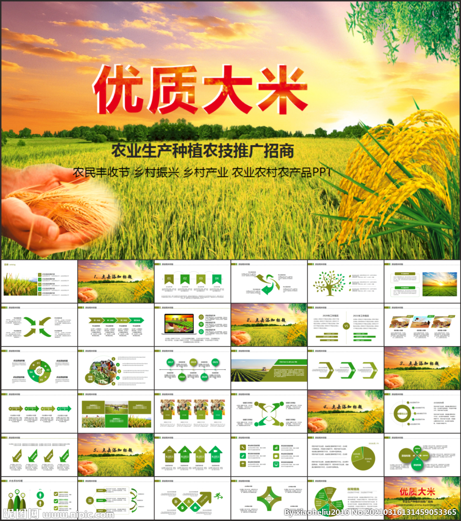 水稻五常有机大米PPT模板农业