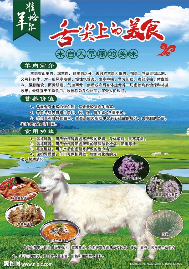 舌尖上美食 準格爾羊 草原羊
