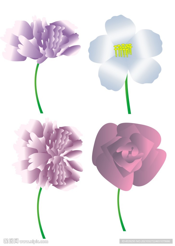 花卉图形设计