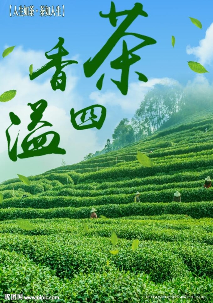 茶叶海报 新茶上市 茶文化