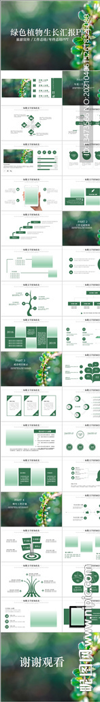 清新植物發(fā)芽生命成長課件PPT