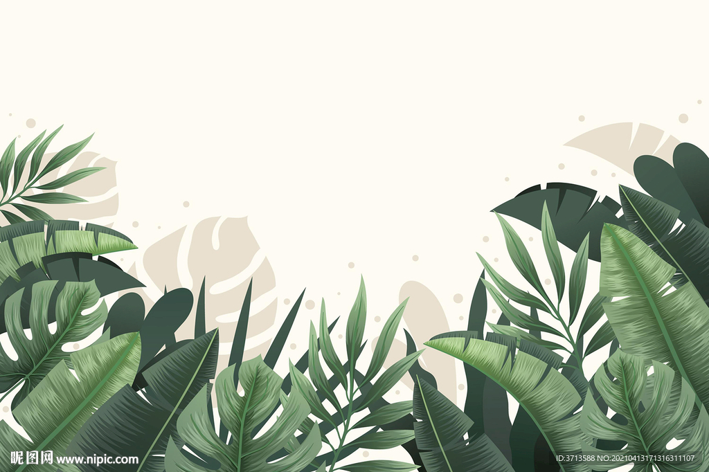 热带植物插画素材