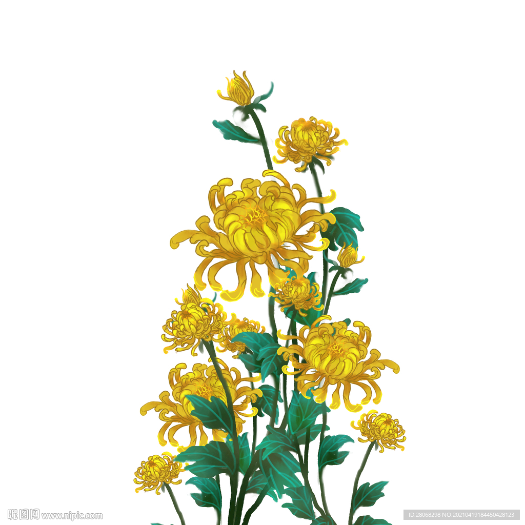 金色菊花端午节元素