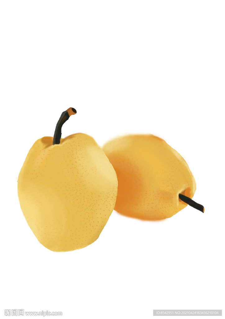 梨插畫
