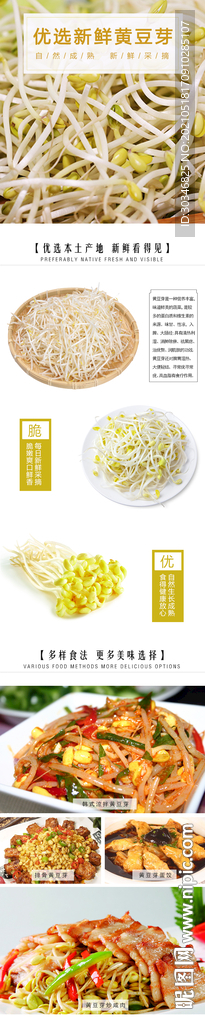 新鲜黄豆芽详情描述设计