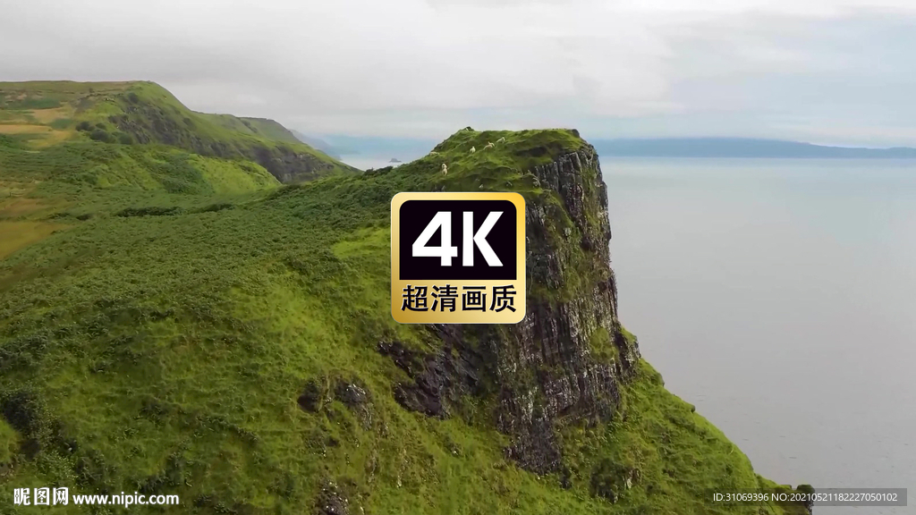 航拍懸崖邊上吃草的羊群