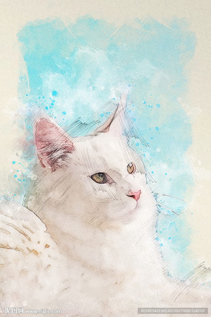 手绘素描宠物猫装饰画海报