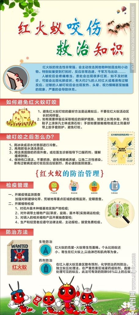 紅火蟻咬傷救治知識展架