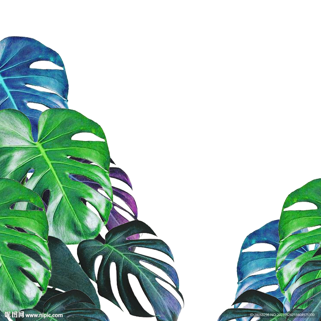 装饰植物卡通树叶元素