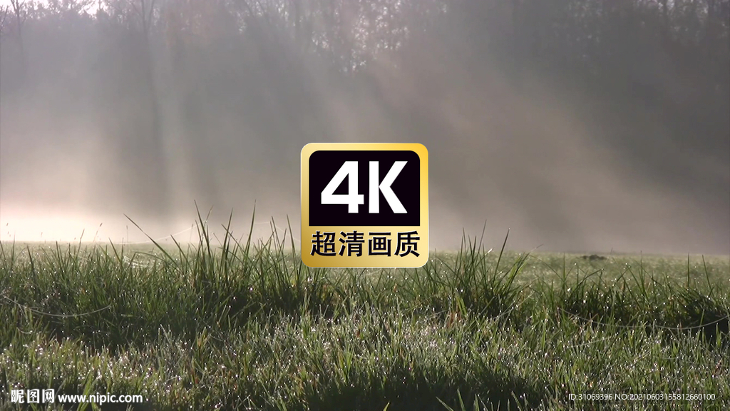 風景素材晨光照射在草地上
