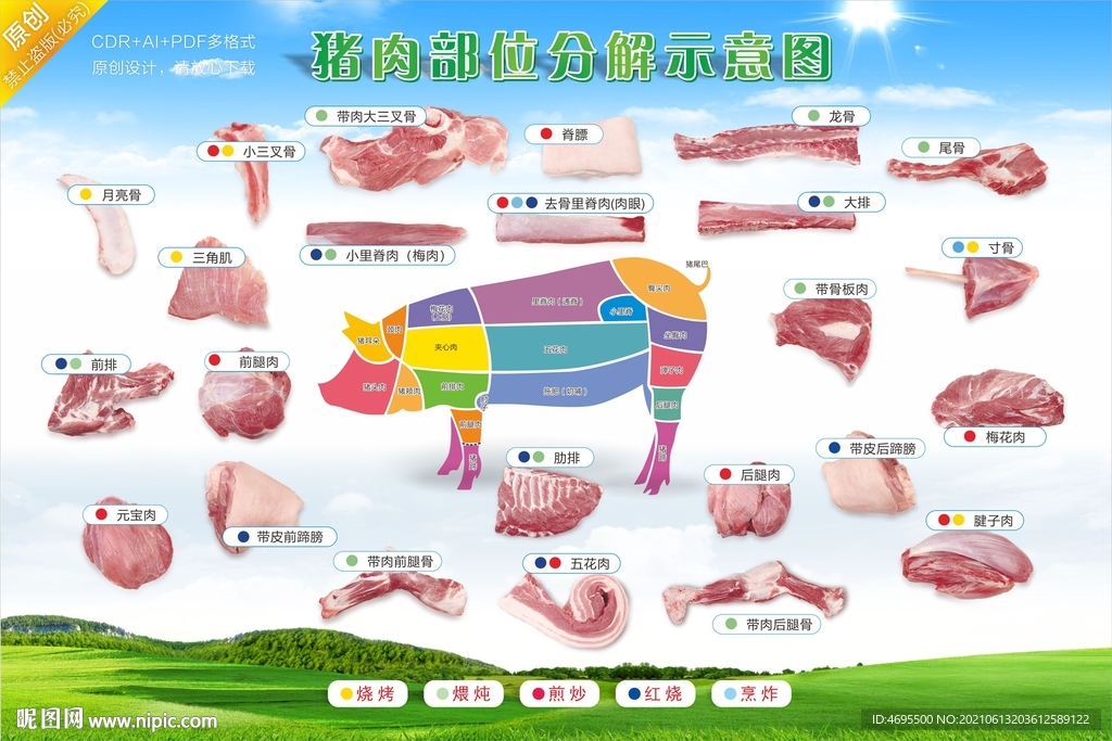 猪肉部位分切分解分割图