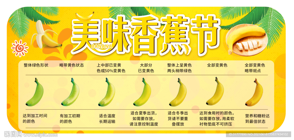 香蕉知識香蕉節(jié)展板圖片