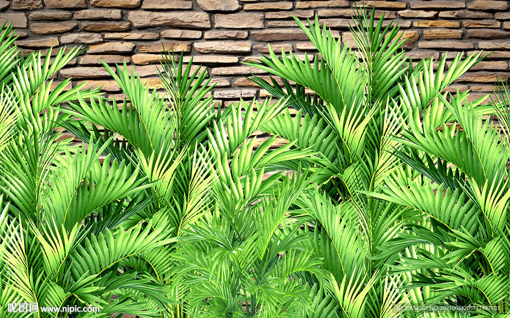 热带植物清新丛林背景墙