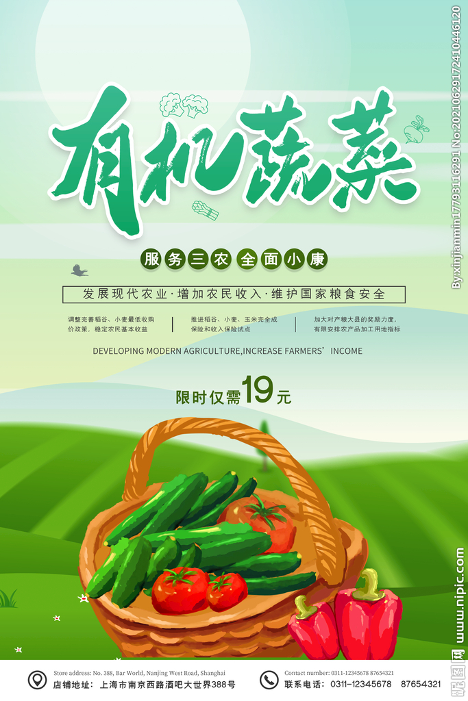 有机蔬菜 农业海报