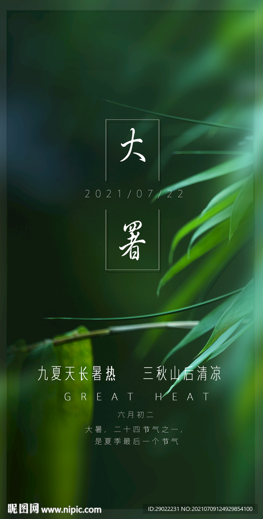 大暑清新綠意竹子背景海報(bào)