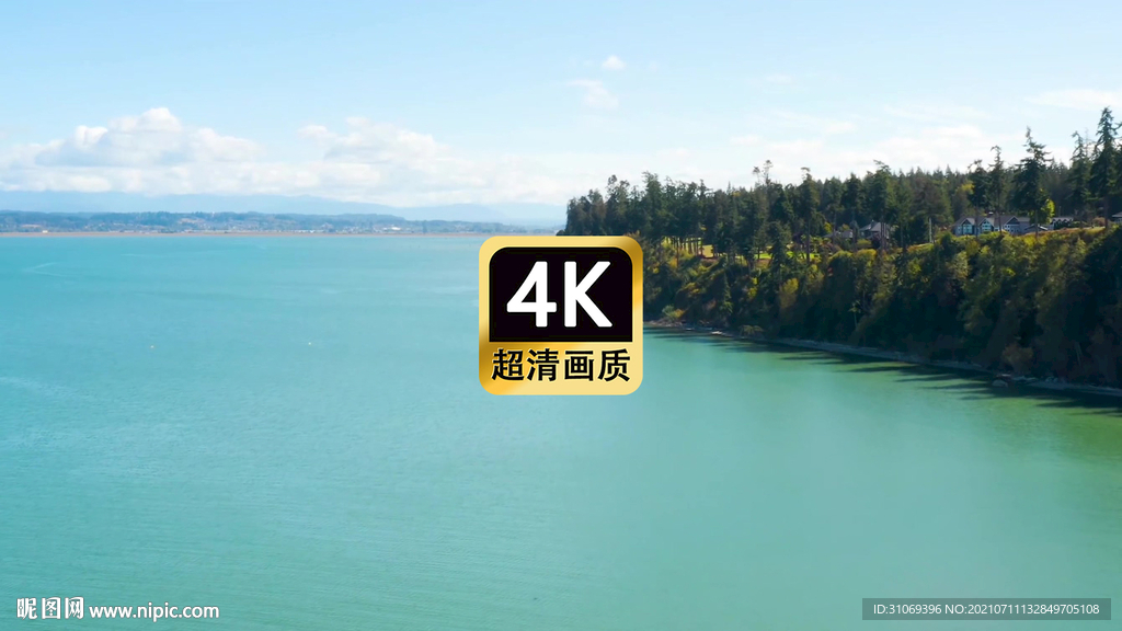 短視頻素材航拍海島森林美景