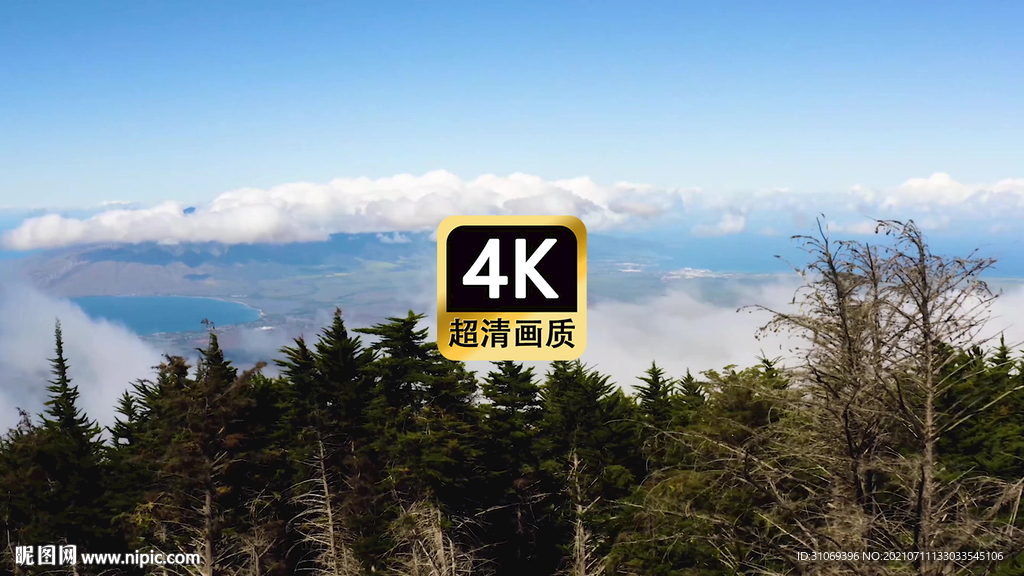 短视频素材航拍山顶云海美景