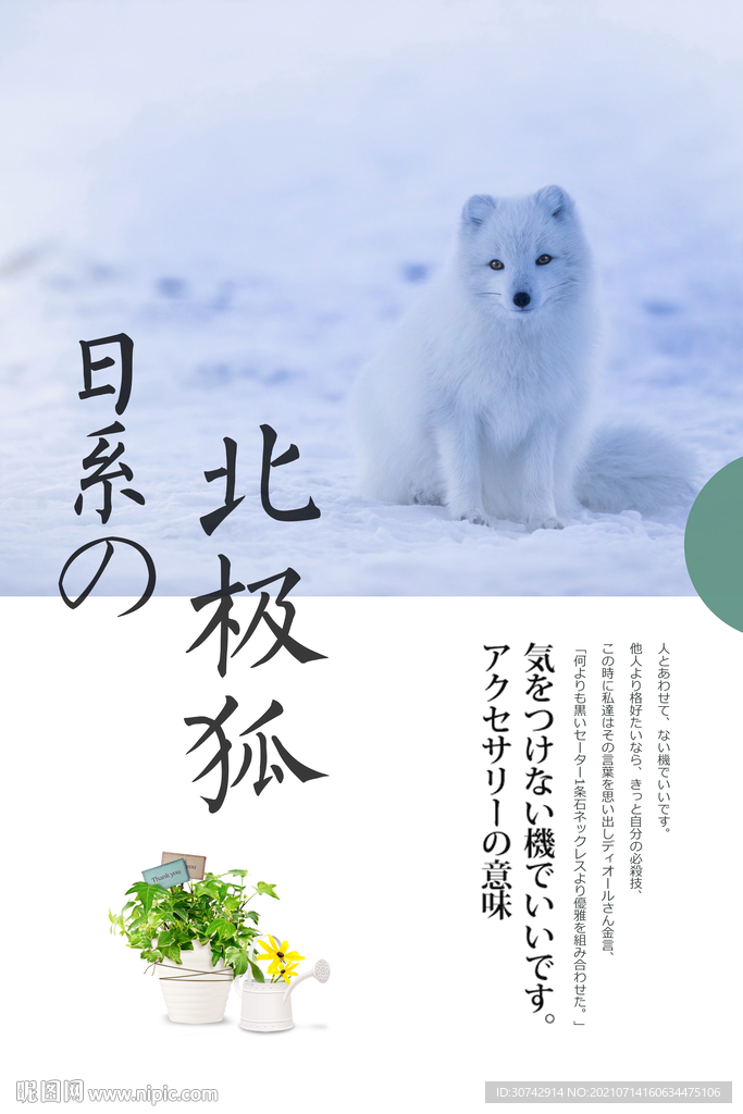 北極狐
